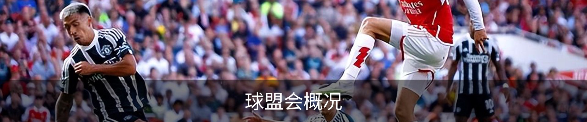 球盟会概况